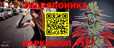 каннабис Кимры
