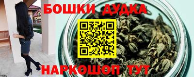 МДПВ Кингисепп