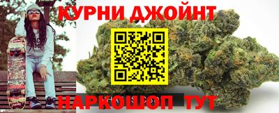МДПВ Кингисепп