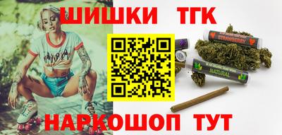 МДПВ Кингисепп