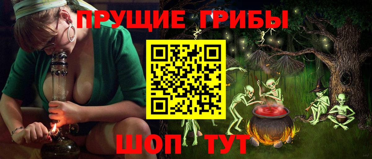 Коммунар  Псилоцибиновые грибы мицелий  Вход с VPN 